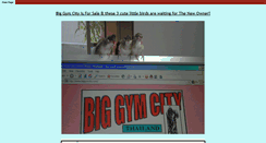 Desktop Screenshot of biggymcity.com