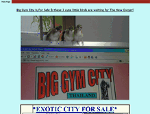 Tablet Screenshot of biggymcity.com